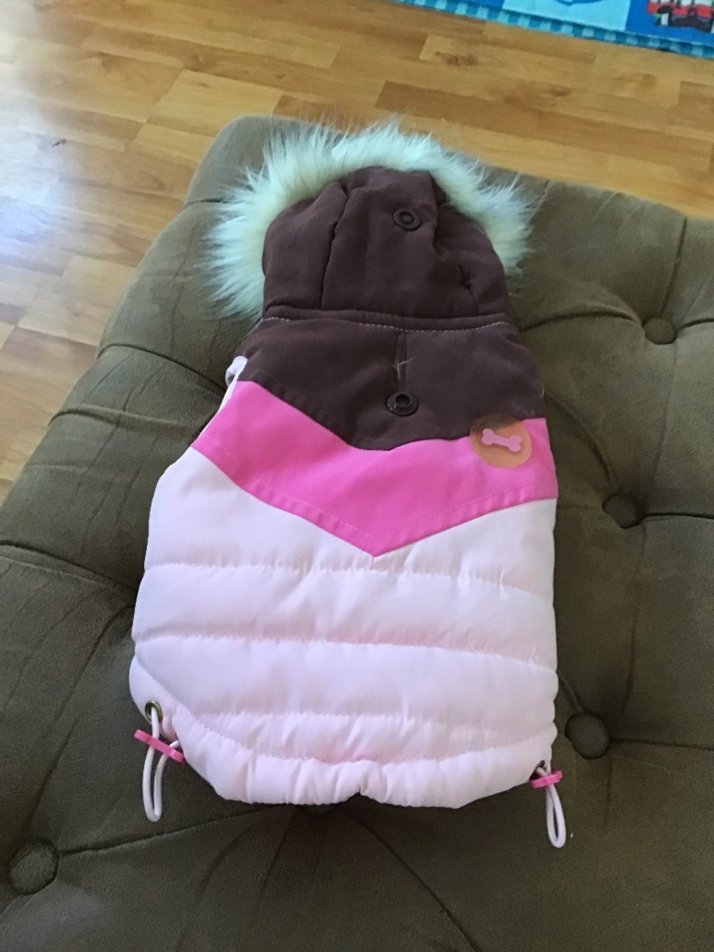 Dog clothes